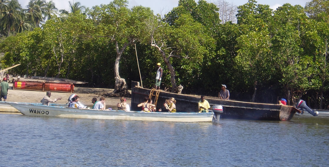 1 day funzi island
